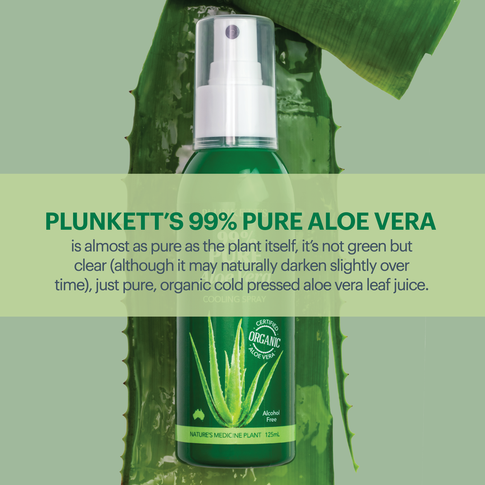 99% Pure Aloe Vera Cooling Spray | After Sun Spray  Plunkett  Pharmaceuticals