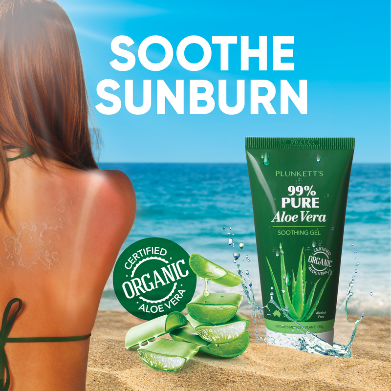 pure aloe vera plant for sunburn 99% Pure Aloe Vera Soothing Gel